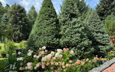 Продается коттедж 5+ комн.